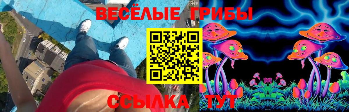 Галлюциногенные грибы GOLDEN TEACHER Кизилюрт